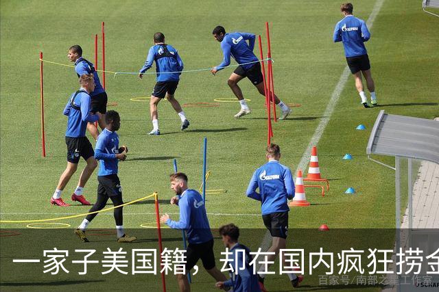 一家子美国籍，却在国内疯狂捞金！年收入4亿，账上还存有130亿