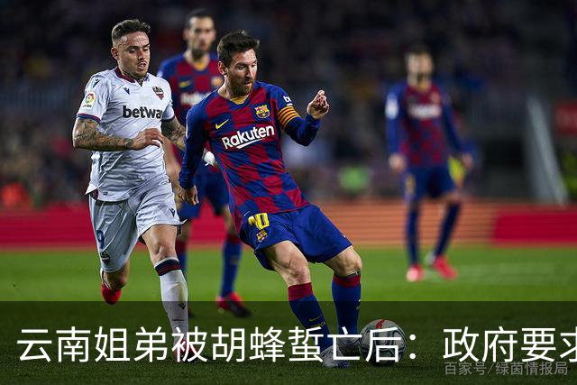 云南姐弟被胡蜂蜇亡后：政府要求禁养，但蜂蛹交易仍频繁，胡蜂养殖何以难管？