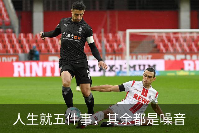 人生就五件事，其余都是噪音