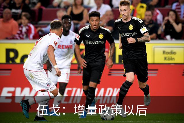 伍戈：增量政策以后