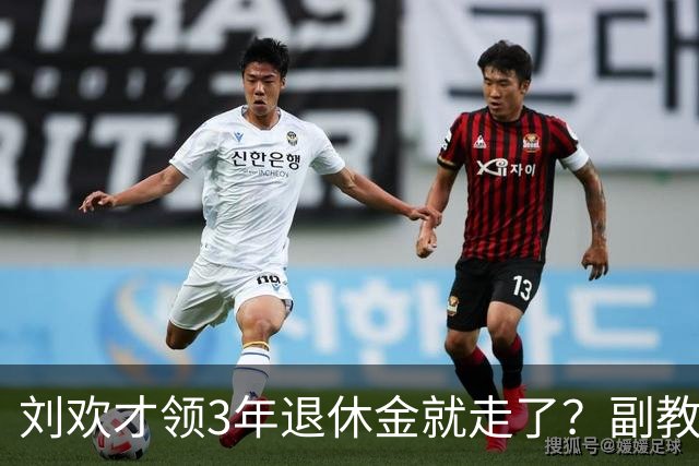 刘欢才领3年退休金就走了？副教授养老金估算曝光，数额令人唏嘘