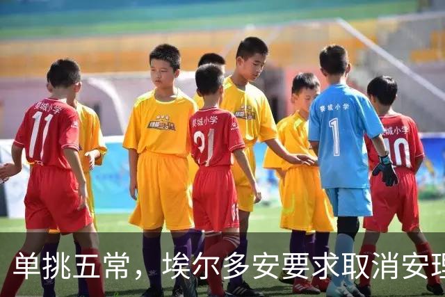 单挑五常，埃尔多安要求取消安理会否决权，不准5国决定世界命运