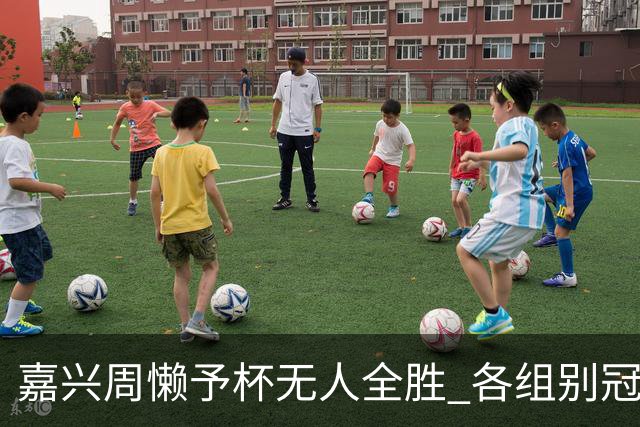 嘉兴周懒予杯无人全胜 各组别冠军争夺激烈