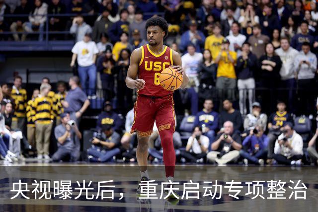 央视曝光后，重庆启动专项整治