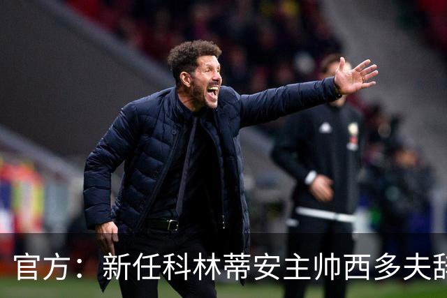官方：新任科林蒂安主帅西多夫辞去荷兰足协职务