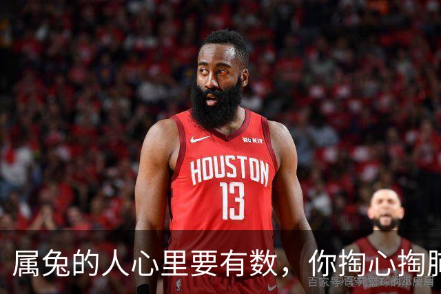 属兔的人心里要有数，你掏心掏肺对人家，对方根本不在意，今年秋天那个看似与你针锋相对的人，其实是来渡你的