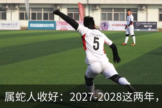 属蛇人收好：2027-2028这两年，日子要换写法了