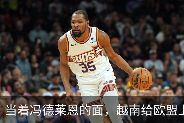 当着冯德莱恩的面，越南给欧盟上了一课：这就是“中国力量”