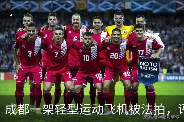 成都一架轻型运动飞机被法拍，评估价83万余元，起拍价仅46万余元，业内人士分析