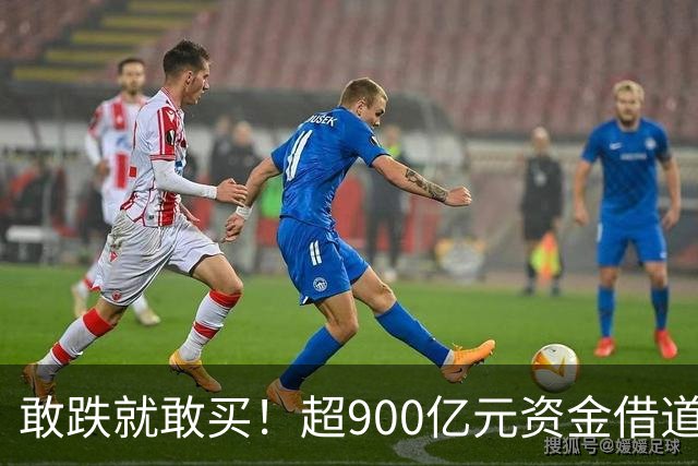 敢跌就敢买！超900亿元资金借道ETF蜂拥进场，除了沪深300，这些主题ETF也被大手笔买入