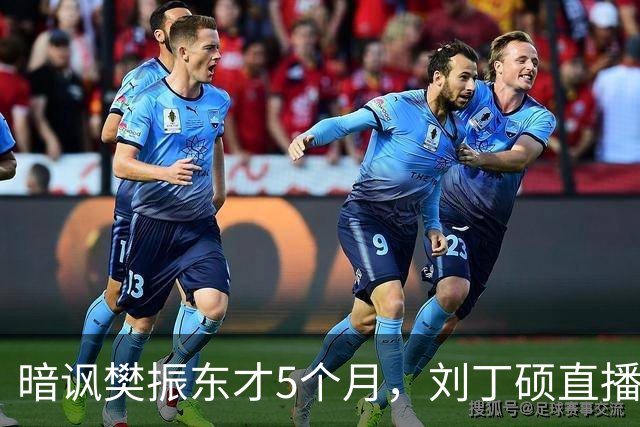 暗讽樊振东才5个月，刘丁硕直播发言再起争议，王曼昱无辜被牵连