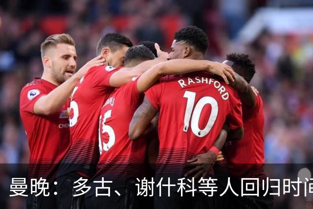 曼晚：多古、谢什科等人回归时间未知，B费拉师傅有望踢热刺