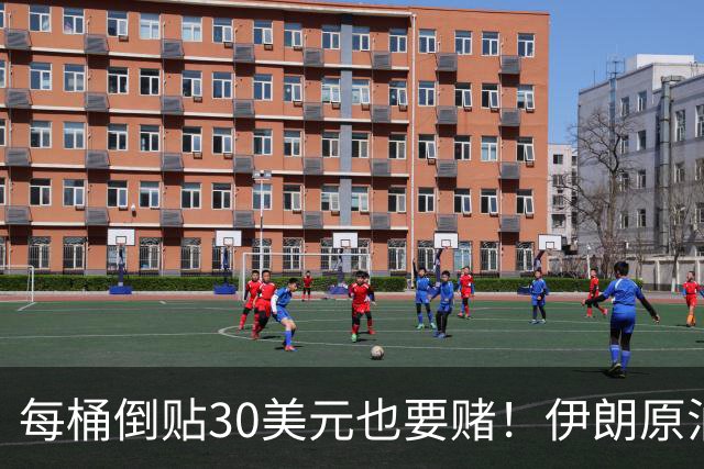 每桶倒贴30美元也要赌！伊朗原油运不进来？山东地炼疯抢伊拉克油
