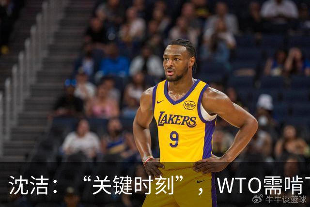 沈洁：“关键时刻”，WTO需啃下改革的“硬骨头”