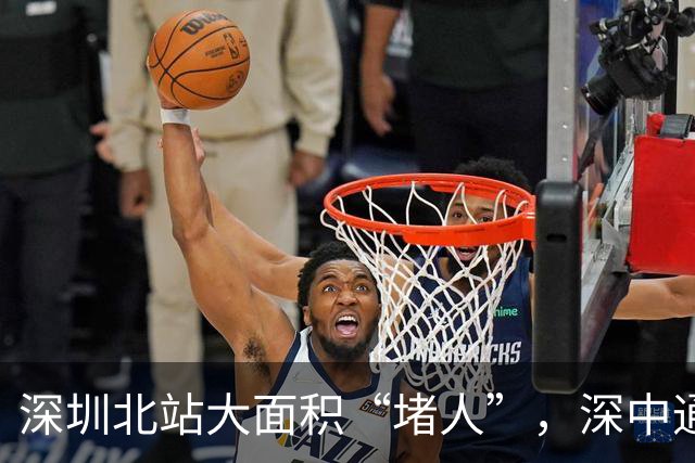 深圳北站大面积“堵人”，深中通道分流管控！网友：又赶了趟春运