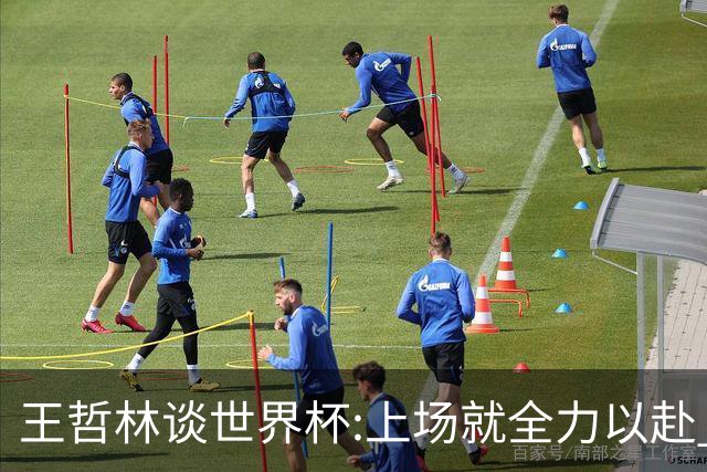 王哲林谈世界杯:上场就全力以赴 这是我的工作