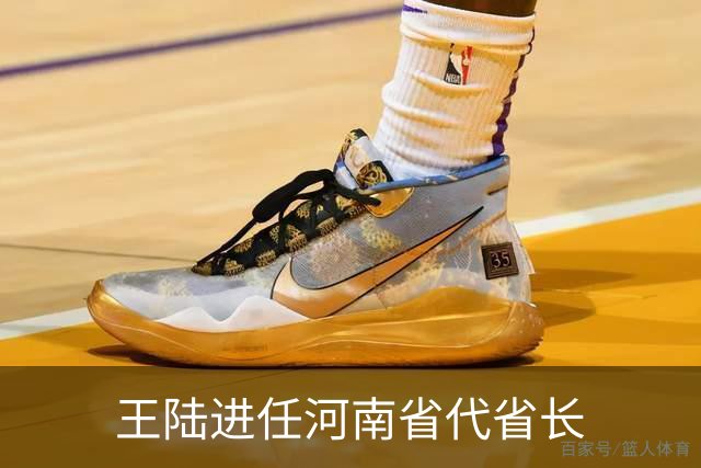 王陆进任河南省代省长