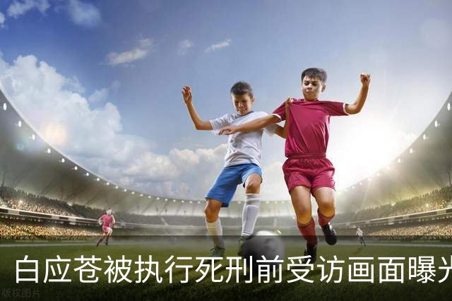 白应苍被执行死刑前受访画面曝光：“你不做诈骗就代表你无所事事”，曾代表全家向中国人民道歉