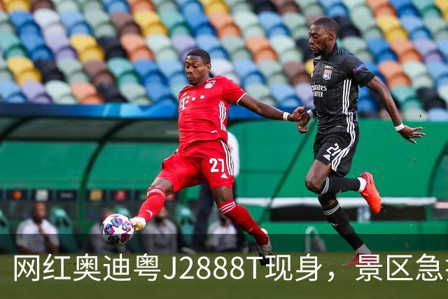 网红奥迪粤J2888T现身，景区急拉雪糕筒围住：已采取措施，请放心出行；此前该车主凭一己之力将几十辆车带进死胡同，“一战成名”