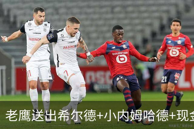 老鹰送出希尔德+小内姆哈德+现金 从黄蜂换回DFS