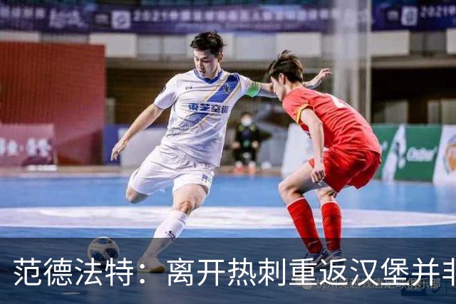 范德法特：离开热刺重返汉堡并非明智之举，最后1年半很艰难