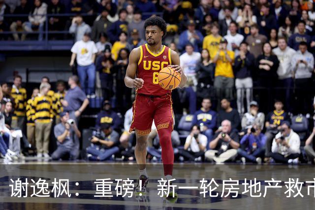 谢逸枫：重磅！新一轮房地产救市一触即发