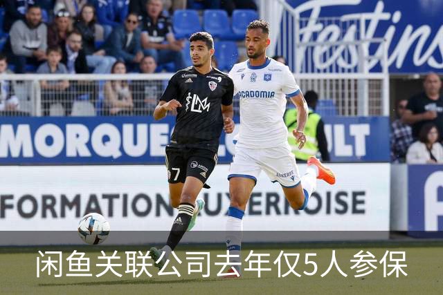 闲鱼关联公司去年仅5人参保